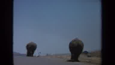 Laguna Hills California USA (1971): Two Elephants Are Walking On The Road And