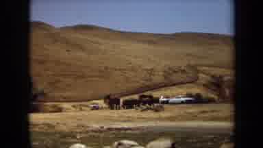 Laguna Hills California USA (1971): Elephant Sighting On A Sunny Day At The