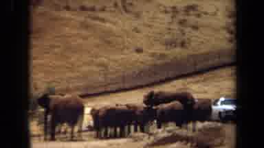 Laguna Hills California USA (1971): A Group Of People In A Car Sitting Right Next