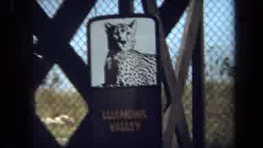 Laguna Hills California USA (1971): Cheetah Sign Advertising Largest Collection Of