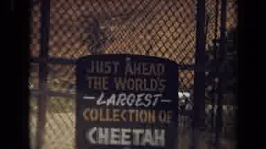Laguna Hills California USA (1971): Sign Reading Just Ahead The World's Largest