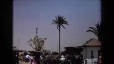 Laguna Hills California USA (1971): Tall Palm Trees Towering Over A Group Of