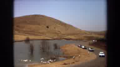 Laguna Hills California USA (1971): Cars Driving Road Near Pond With Birds