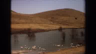 Laguna Hills California USA (1971): A Summer Scene Of Rolling Hills And A Body Of