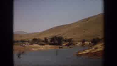 Laguna Hills California USA (1971): Some Animals Are Around To The River