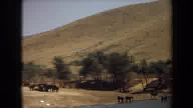Laguna Hills California USA (1971): Tourists Watching Elephants Drinking At The