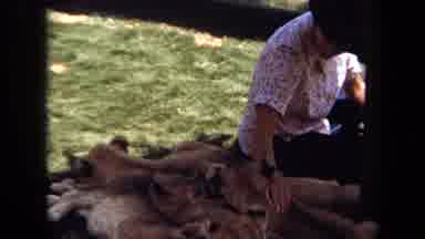 Laguna Hills California USA (1971): Spending Your Precious Time With Your Pet Is
