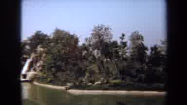 Laguna Hills California USA (1971): Two Ducks Swimming In A Small Lake During The