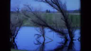 Maine USA (1971): Trees And A Lake On What Looks Like Old Video Footage