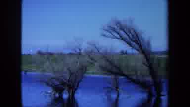 Maine USA (1971): There's A Giant House Near The Lakefront With Trees In The Water