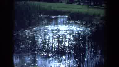 Maine USA (1971): Dog At Pond