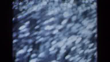 Maine USA (1971): Beautiful Calm Green Landscape And Then Zoomed In Image Of