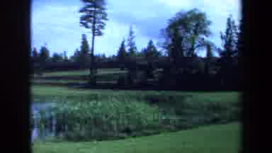 Maine USA (1971): Panoramic View Of A Meadow: Pond With Reeds Grassy Area Around