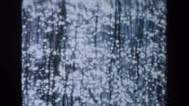 Maine USA (1971): Trees Are Reflected On The Surface Of A Lake Or River