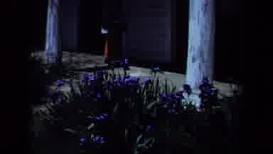 Maine USA (1971): Woman Touches Mailbox Outside Of Home Near Bed Of Blue Flowers