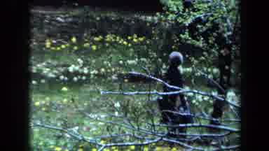 Maine USA (1971): Several People Walk Through Park With Flower Beds And Trees