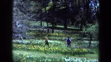 Maine USA (1971): Two People Walking In A Meadow Showing A Multilevel House Near