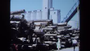 Maine USA (1971): Local Woman In Dress Feeling Large Wooden Log From A Neatly