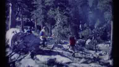 SCAPEGOAT WILDERNESS MONTANA USA .MP-1973: A Group Of Hikers With Backpacks
