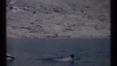 SCAPEGOAT WILDERNESS MONTANA USA .MP-1973: There Is A Man Swimming In A Lake Off