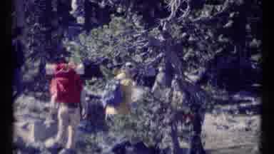 SCAPEGOAT WILDERNESS MONTANA USA .MP-1973: People Hiking Forest And Nature Trail
