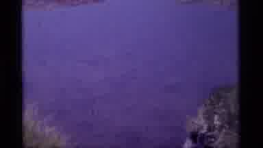 MINARET WILDERNESS CALIFORNIA USA .M-1975: Tadpoles Swimming In Still Waters Of