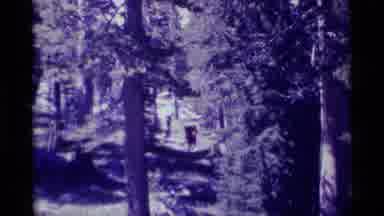 MINARET WILDERNESS CALIFORNIA USA .M-1975: Two People Is Going In The Forest At