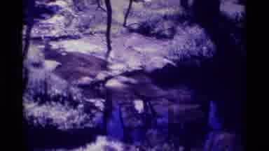 MINARET WILDERNESS CALIFORNIA USA .M-1975: Deep Interior Forest Covered By Snow