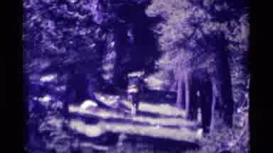 MINARET WILDERNESS CALIFORNIA USA .M-1975: Man Walking On Tall Trees Path