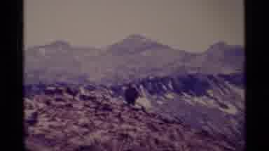MINARET WILDERNESS CALIFORNIA USA .M-1975: Man Sets Out In The Outback
