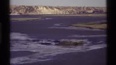 Holland Lake Montana USA (1972): A View Of Ducks Swimming In The Ocean