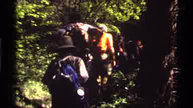 Holland Lake Montana USA (1972): Men Women And Children Carrying Backpacks Hiking