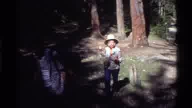 Holland Lake Montana USA (1972): Three People Walking Forest One Female Two Male