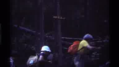 Holland Lake Montana USA (1972): In This Video There Are Trees There Are People A