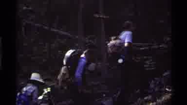 Holland Lake Montana USA (1972): A Group Of Hikers Walking In The Woods