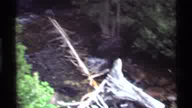 Holland Lake Montana USA (1972): Love The Sound Of The Water Going Down The Stream