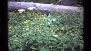 Holland Lake Montana USA (1972): First Day Of Spring