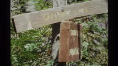 Holland Lake Montana USA (1972): Man Hiking In Nature Woods Forest To Go To