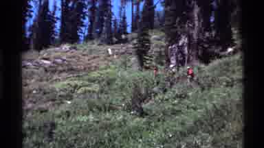 Holland Lake Montana USA (1972): People Are Hiking Through Nature Enjoying The