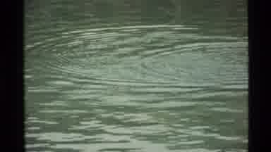 Holland Lake Montana USA (1972): A Man Throwing Food To The Fishes