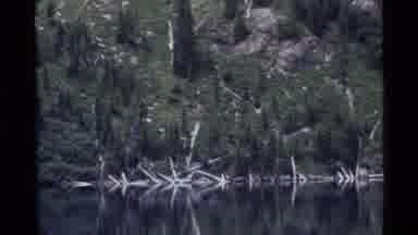 Holland Lake Montana USA (1972): Animal Wildlife On Rock Near Mountain Around