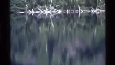 Holland Lake Montana USA (1972): A Very Still Lake With White Tree Branches