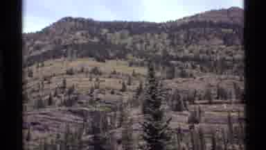Holland Lake Montana USA (1972): Panning Across A Steep Mountainside Filled With