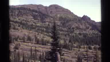 Holland Lake Montana USA (1972): People Sitting On Log In A Row Looking At Green