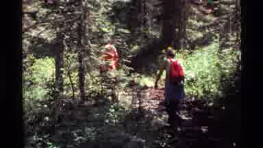 Holland Lake Montana USA (1972): A Group Of People Walking Through Woods And