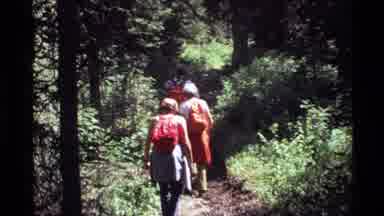 Holland Lake Montana USA (1972): There Are Three People Walking In The Woods