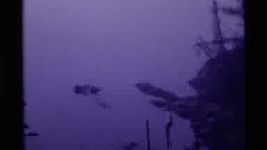 Holland Lake Montana USA (1972): The Lake Is Very Empty And Clean So I Recorded It
