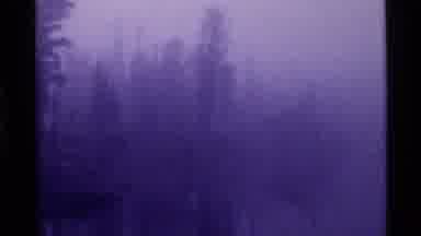 Holland Lake Montana USA (1972): Early Morning Light In A Fog-Shrouded Forest And