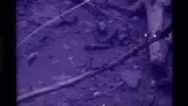 Holland Lake Montana USA (1972): This Looks Like A Scary Video With A Haunted Hand