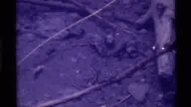 Holland Lake Montana USA (1972): Underwater Image Of The Bottom On A River With A